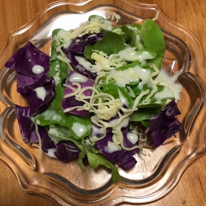 紫キャベツとサラダ菜、細切りチーズのシーザーサラダ